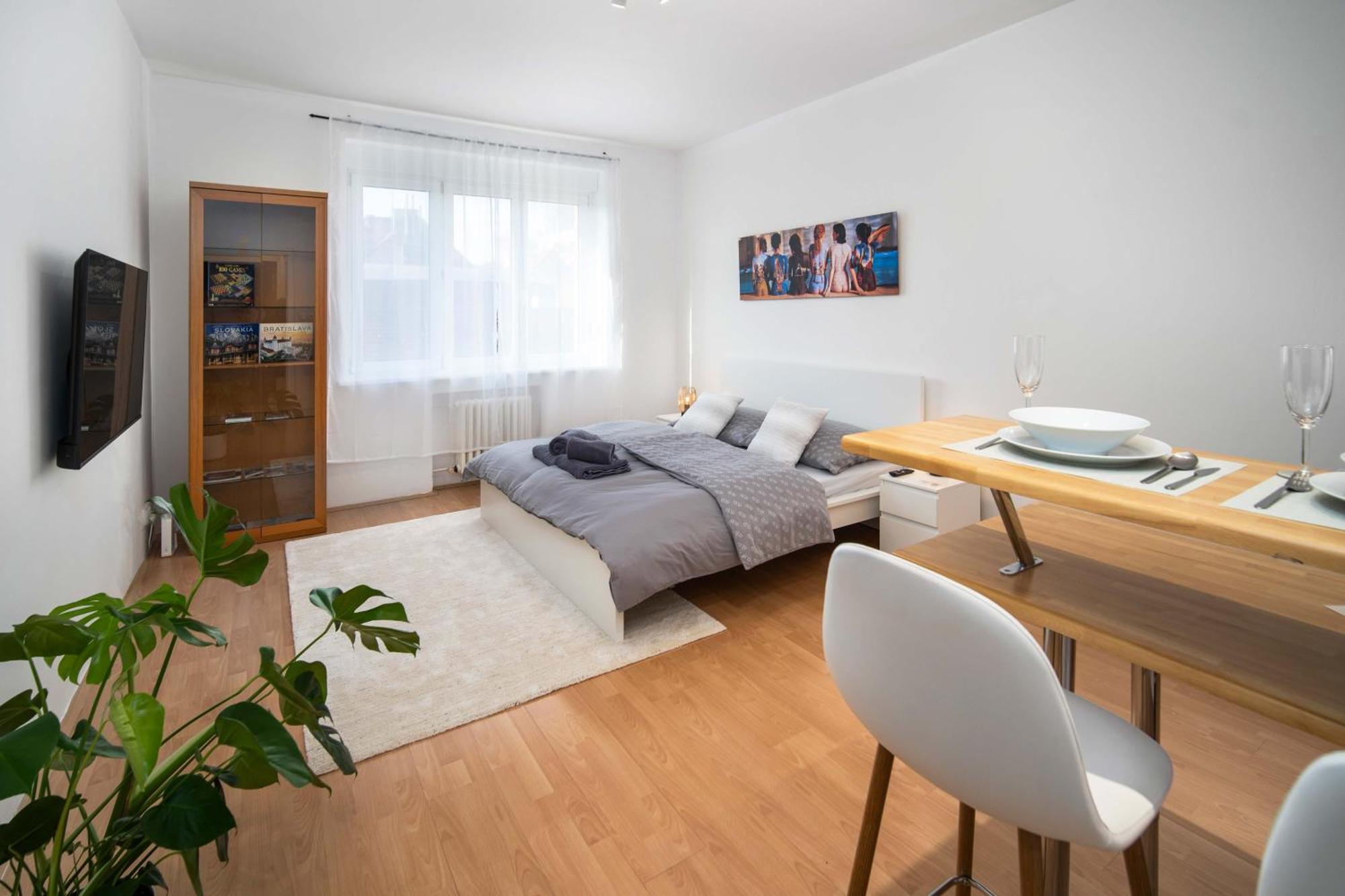 Best Location Apartment Air-Conditioned 布拉迪斯拉发 外观 照片